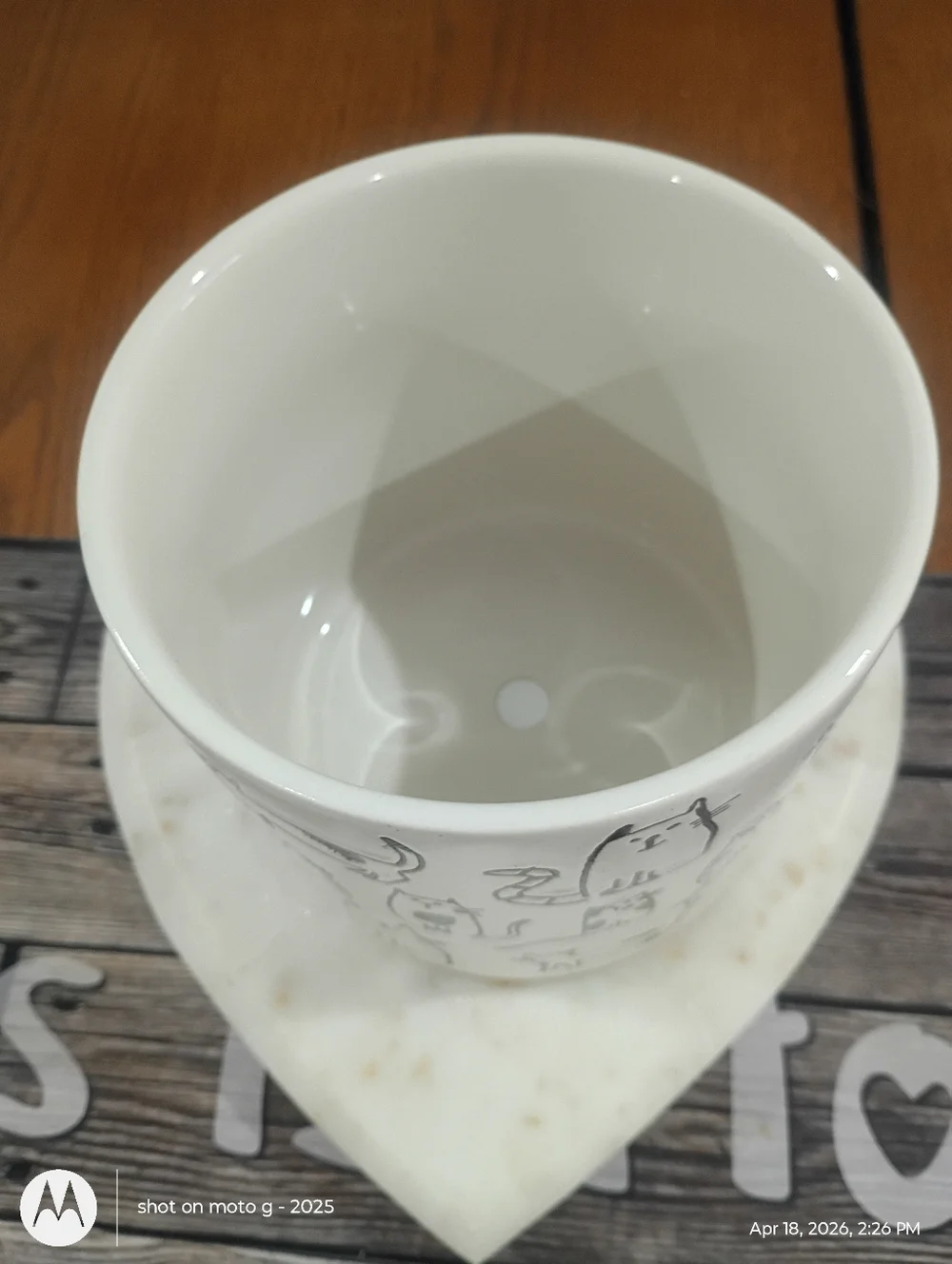 Cat planter All Over Print - Picture 6 of 10
